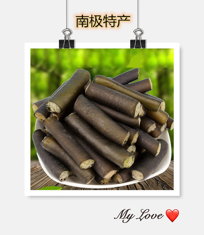 海笋海茸南极海茸冰笋南极冰笋南极海笋统力海笋干海笋藻类干海菜海笋