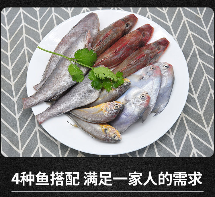 新鲜海杂鱼小黄鱼小梭鱼龙利鱼石斑鱼红头鱼海鲜杂鱼3斤自家渔船捕捞