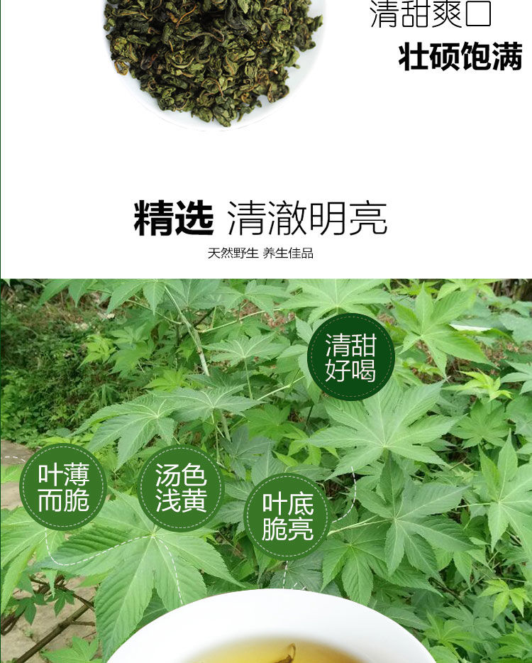 甜茶叶广西金秀甜茶野生大瑶山刺儿茶叶天然养生茶250g500g野生甜茶