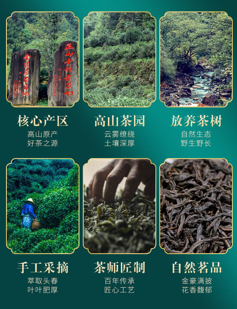 5折 茶叶红茶正山小种150g500g盒装罐装武夷新茶 正山小种150克【图片