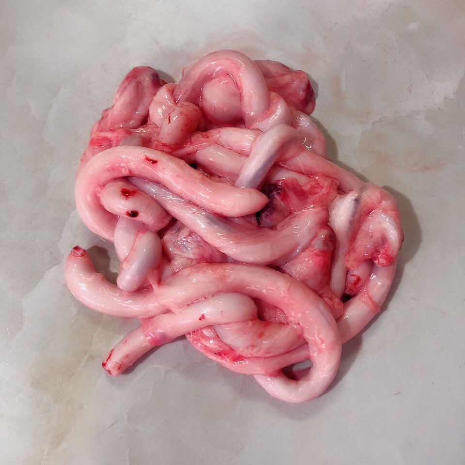 新鲜猪鞭 新鲜土猪鞭 冷冻猪鞭猪蛋 猪睾 净重1斤装