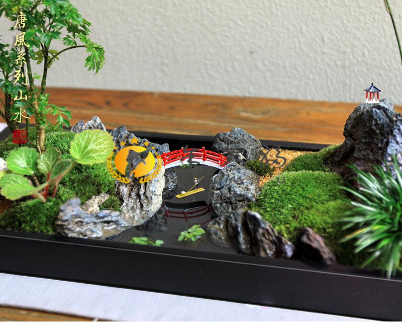 新中式枯山水微景观米竹菖蒲虎耳草青竹子罗汉松桌面盆景盆栽采缇