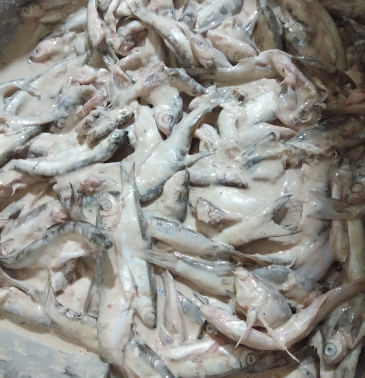 吃情派(chiqingpai) 湖北特产农家油炸刁子鱼妈妈炸鱼 现炸现卖真空