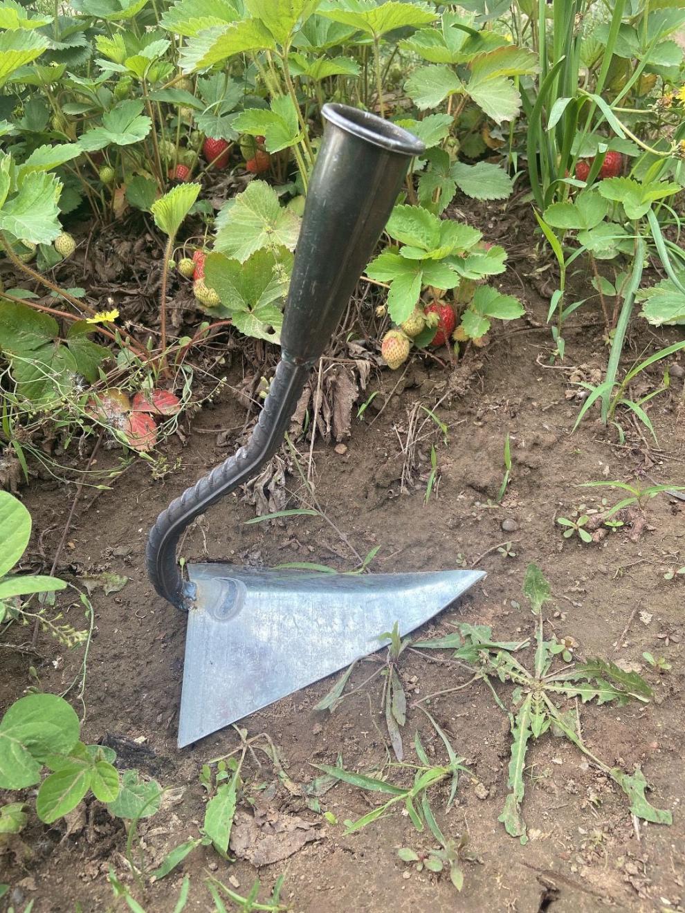 三角锄头起垄锄尖头开沟器搂沟鹰嘴锄开荒松土种菜施肥神器 银彩加厚