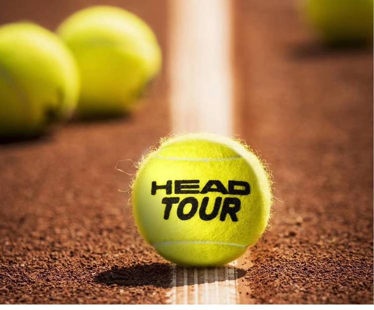 2022新款海德网球head海德网球黄金球tourxt戴维斯杯大师赛训练比赛球