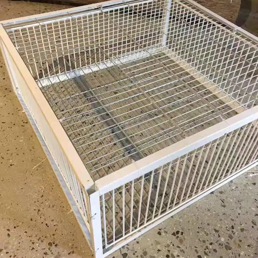 逮鸟神器工具新款加密天落鸽子笼只进不出自动撞门笼四面埋伏鸽子