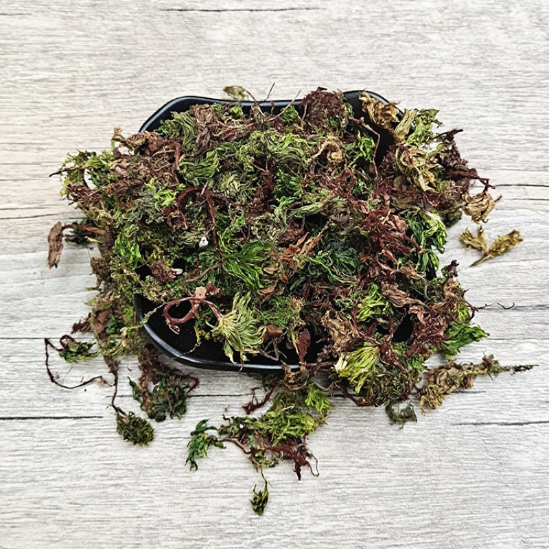 回心草500克云南新鲜干货回心草中药材店铺散装 铁脚一把伞中草药