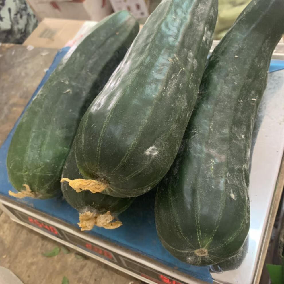 带瓜的水果(常见的100种瓜名称图片)