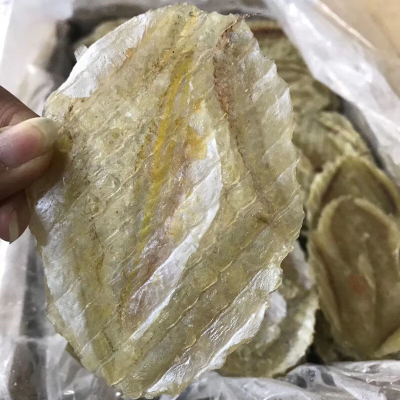 北部湾海域湛江海鲜干货特产鱼柳片剥皮鱼马面鱼片家常烧烤鱼片250g