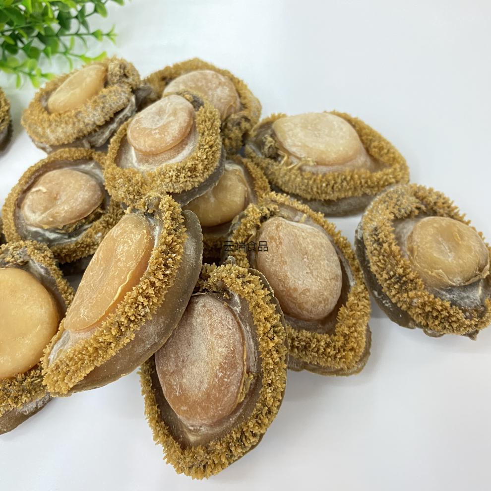 南非鲍鱼干野生干鲍鱼500克30头左右