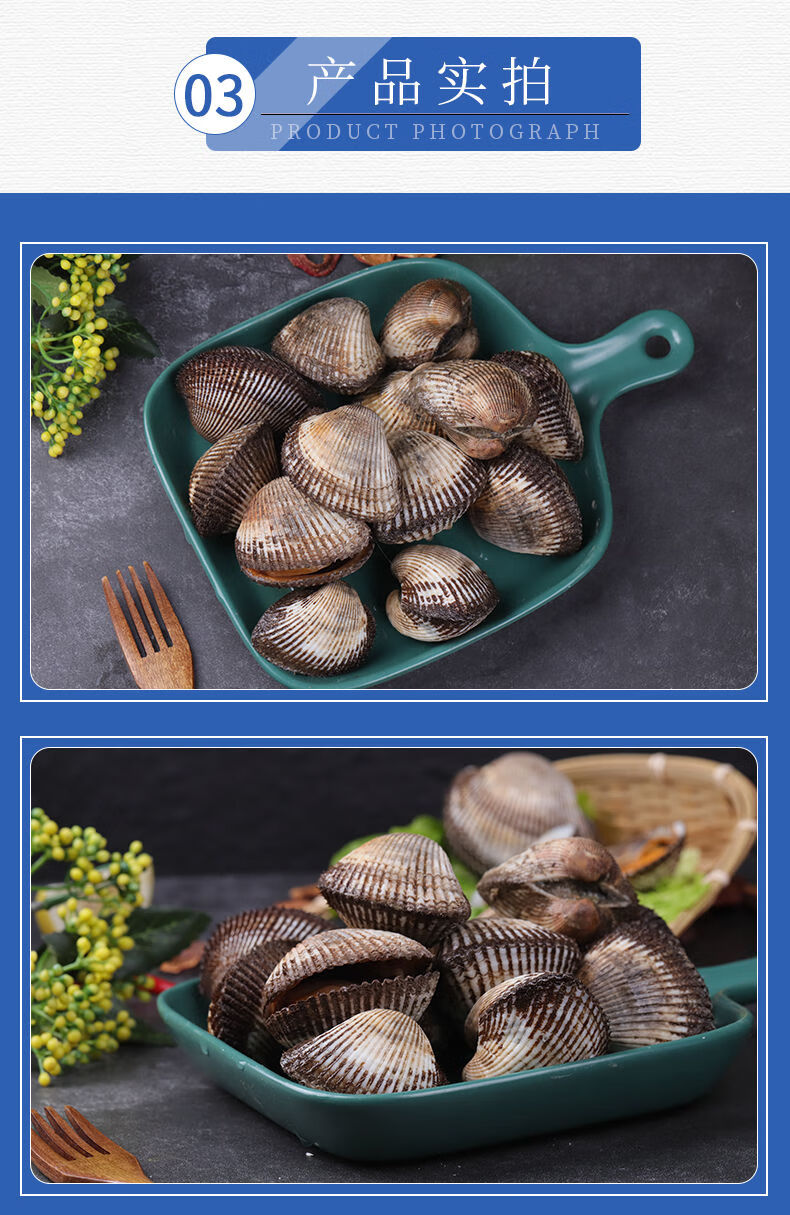 毛蛤蜊海鲜鲜活蛤蜊毛蚶毛蛤水产血蛤到家包活3斤鲜活