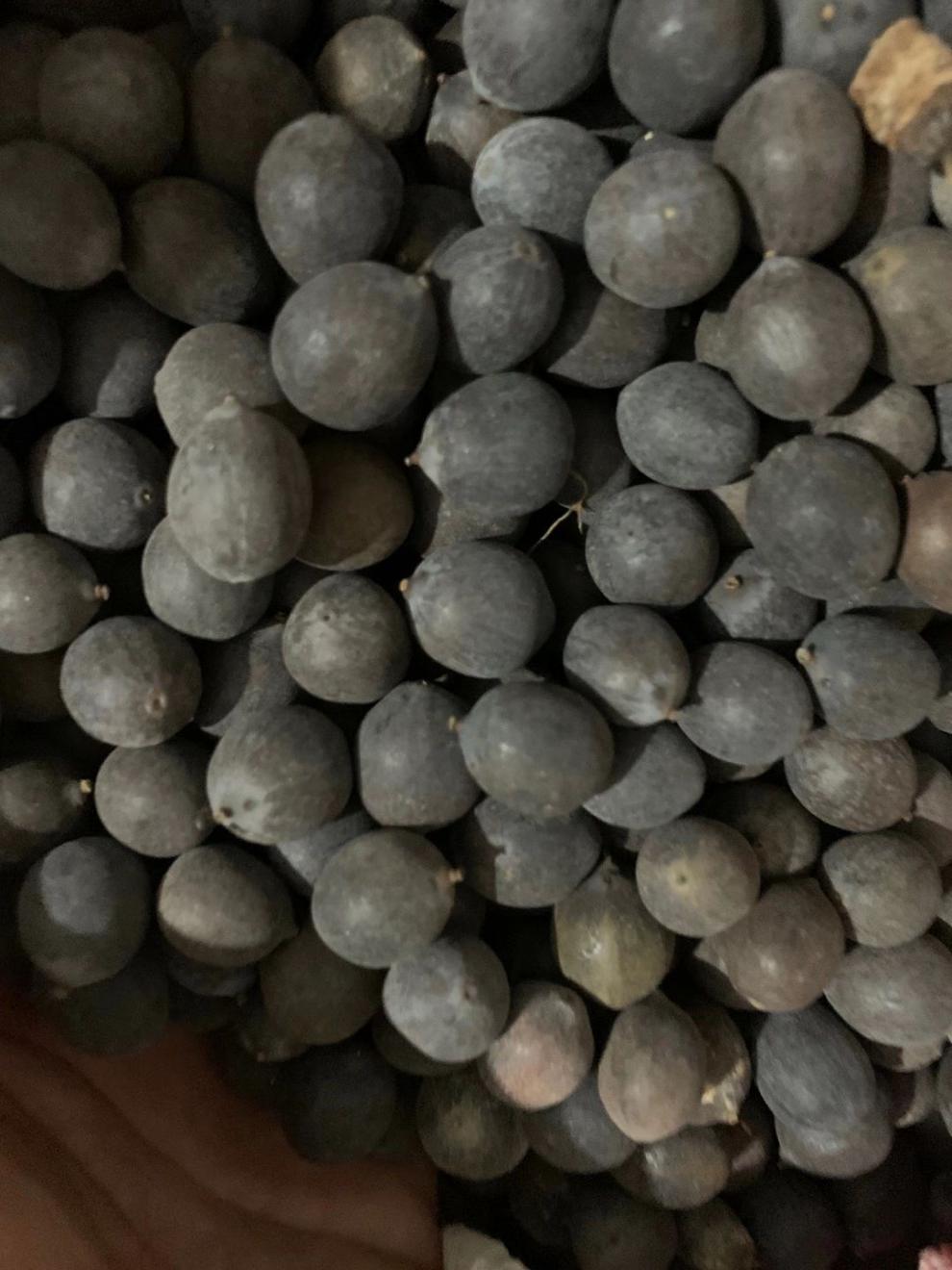 带壳干莲子即食江西特产铁莲子特香黑老红皮莲子 500克【1斤铁莲子】