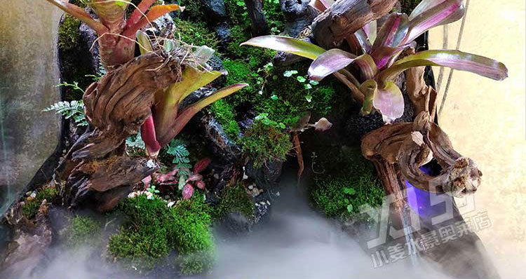 抖音网红水陆缸造景发泡胶雨林假山水族鱼缸爬虫背景青龙石沉木发泡剂