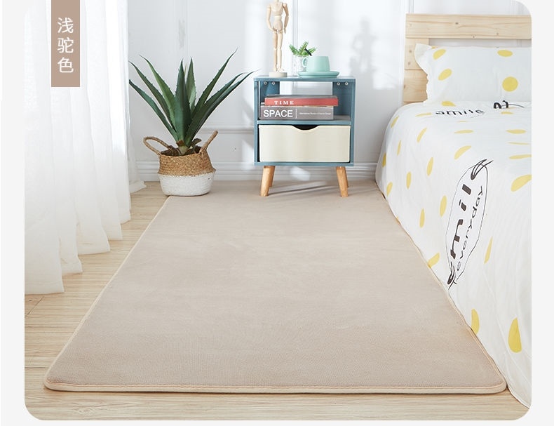 升级款垫子卧室睡觉夏天韩式夏天睡觉打地铺垫子短毛睡地毯短绒家用