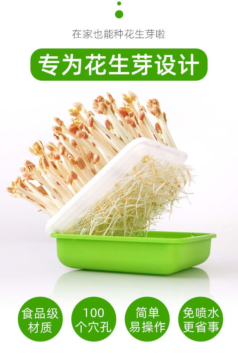 花生芽水培箱水培盒花生苗新鲜种植盆花生芽种植盘花生米发芽神器虎雀