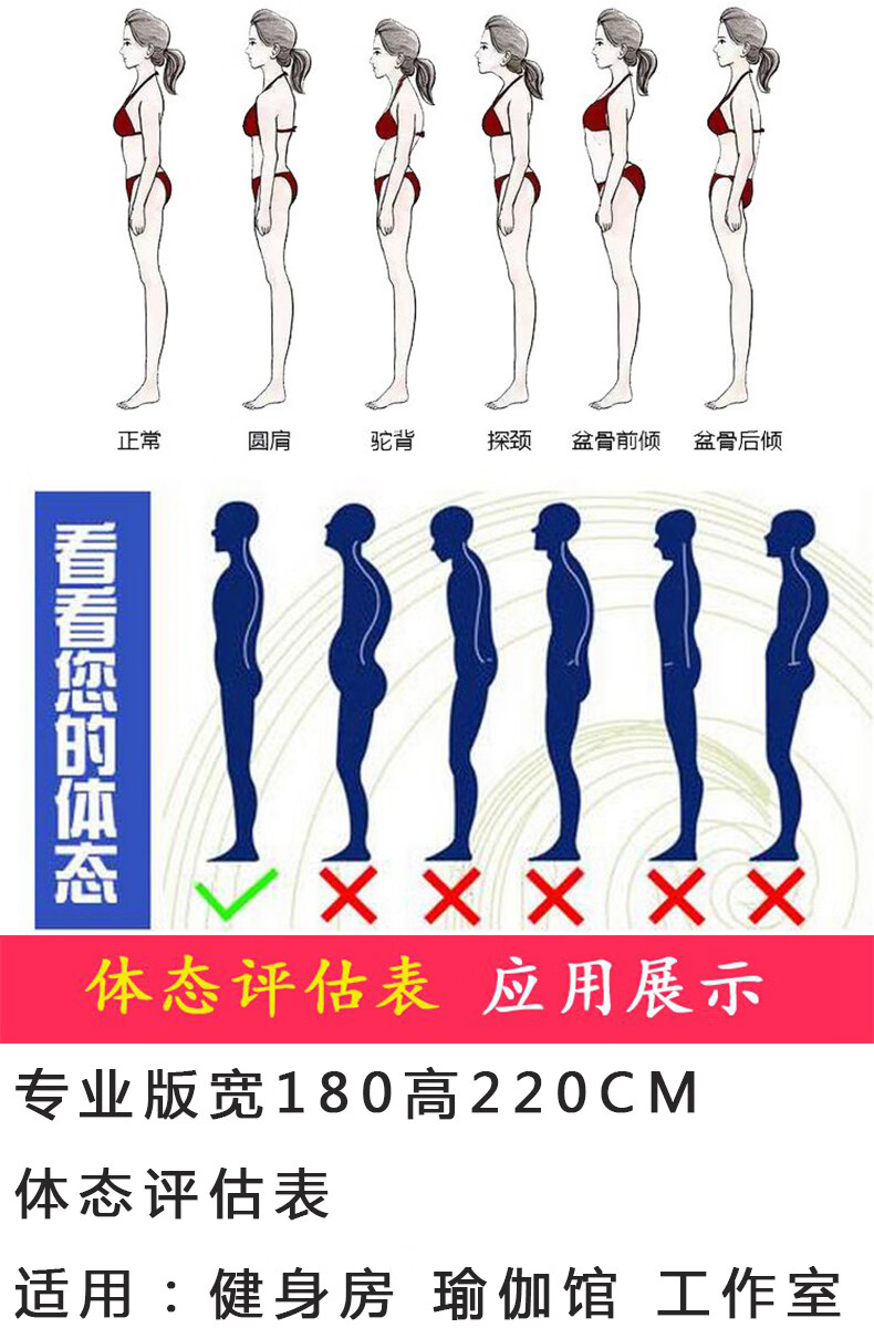 体态评估网格图体态评估表墙贴健身房体测网格纸瑜伽馆私教姿势体位