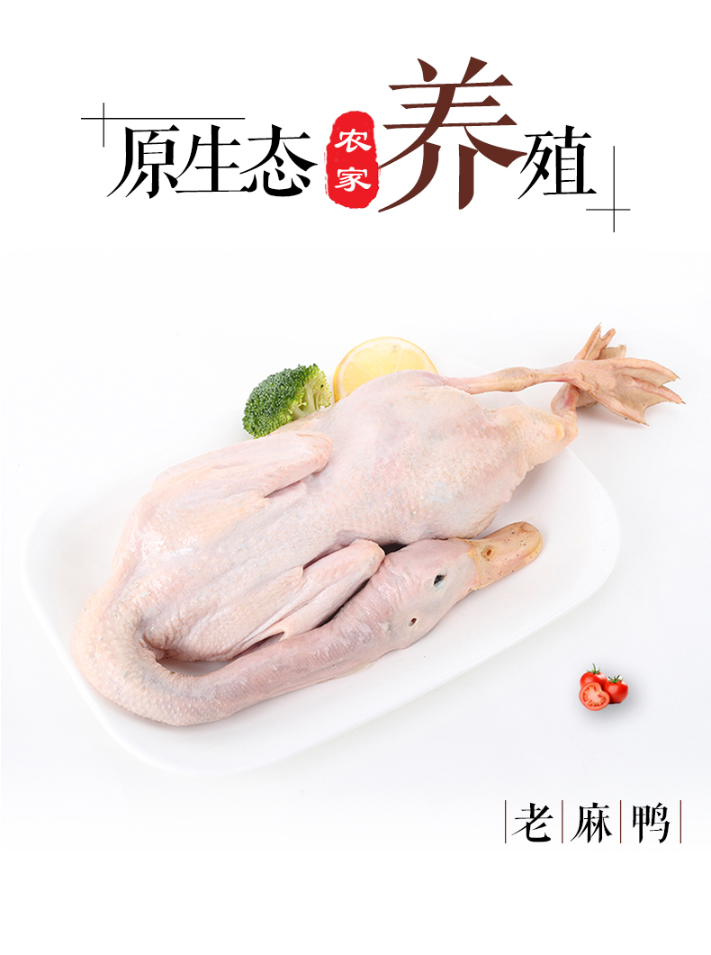 老麻鸭冷冻鲜食材老鸭白条鸭整只煲汤 麻鸭950克*3袋【图片 价格 品牌