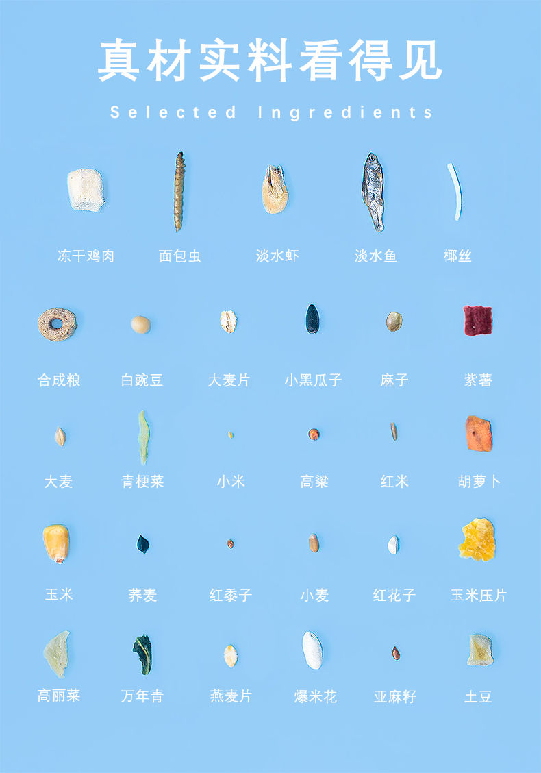 豪华水果天然仓鼠粮仓鼠用品食物饲料主粮自配粮食金丝熊面包虫干豪华