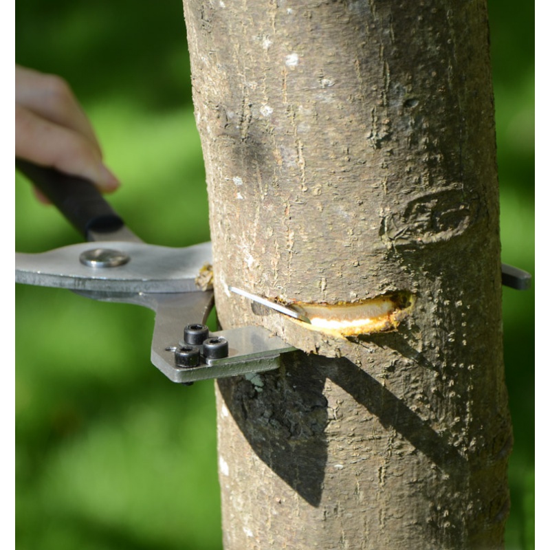 新型环剥钳果树环剥刀枣树环剥剪开甲器园林环剥环割刀果树剥皮刀小号