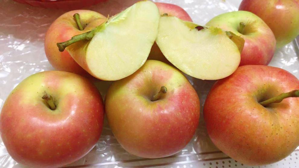 苹果山西运城冰糖心红富士脆甜丑苹果新鲜水果5斤10斤整箱70mm含75mm