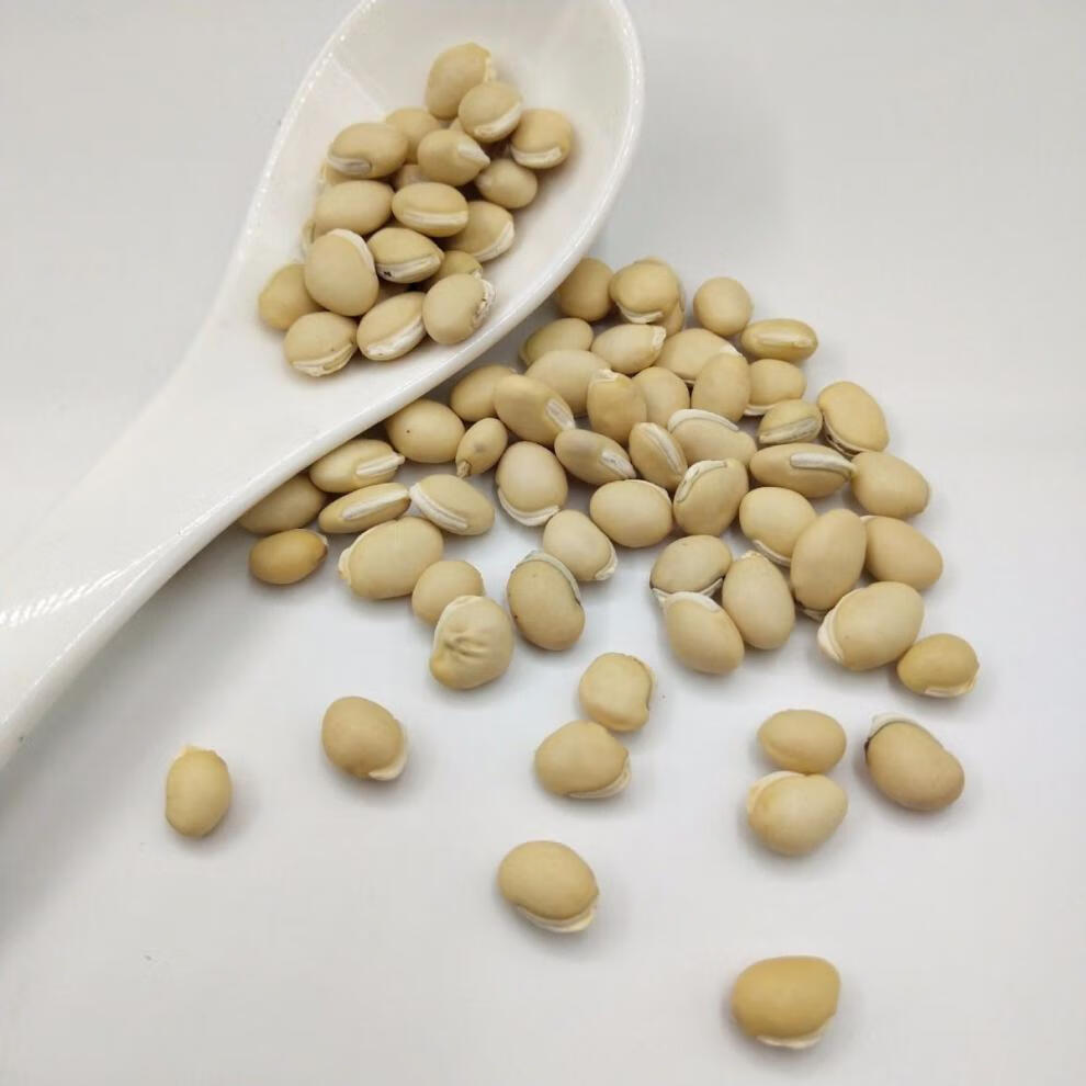 白扁豆煮粥农家大白扁豆大粒新货可炒熟材【御华滋补】 1000克【图片