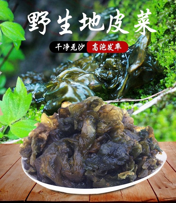 甘肃特产地皮菜免洗地达菜块状新鲜地衣地软地木耳12块压缩共240克