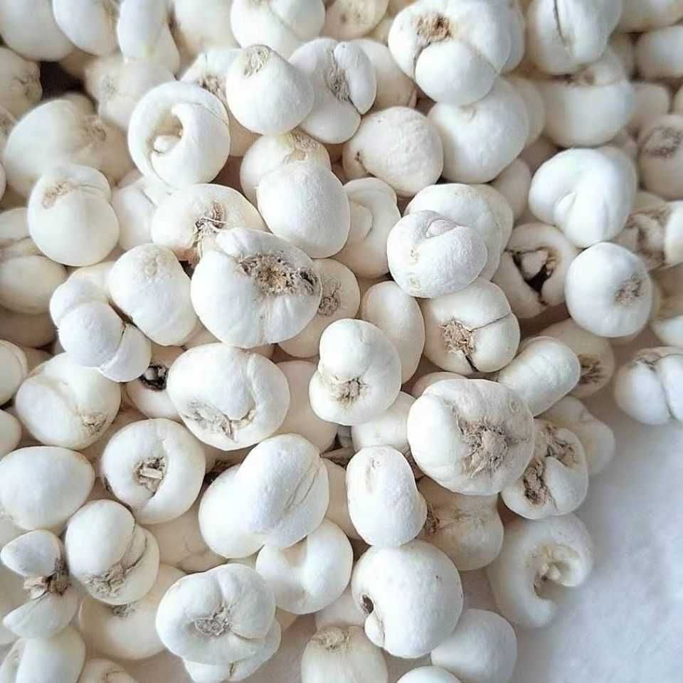 杞里香qilixiang西藏特产贝母西藏藏平贝母贝中药微苦贝母250g藏贝母