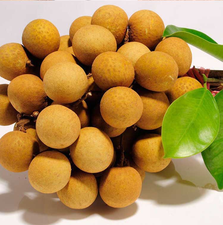 广东高州龙眼新鲜桂圆储良石硖当季水果现货3斤
