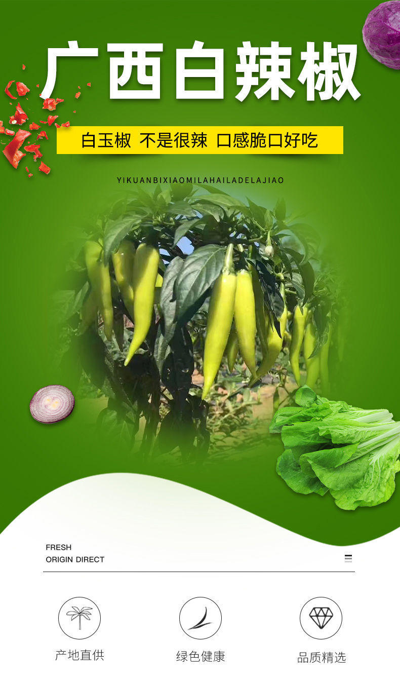 腌制泡椒 1斤 白皮辣椒尖椒 蔬菜微辣 3斤装【图片 价格 品牌 报价】