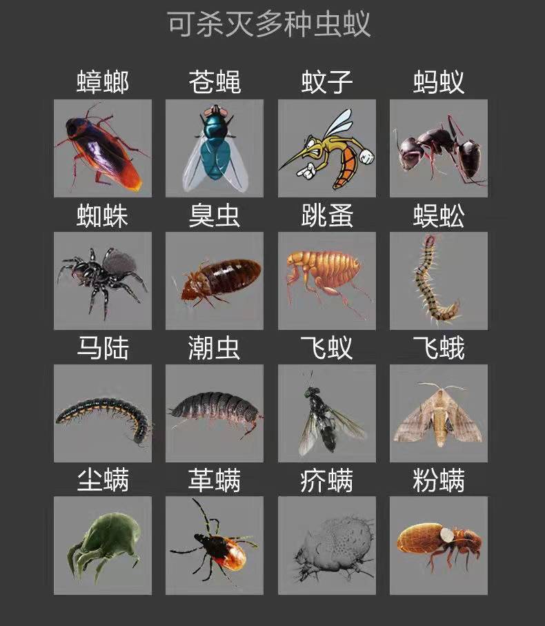 云南白药杀虫剂家用室内杀蚊子神器喷雾灭飞虫苍蝇蟑螂蚂蚁虫白色