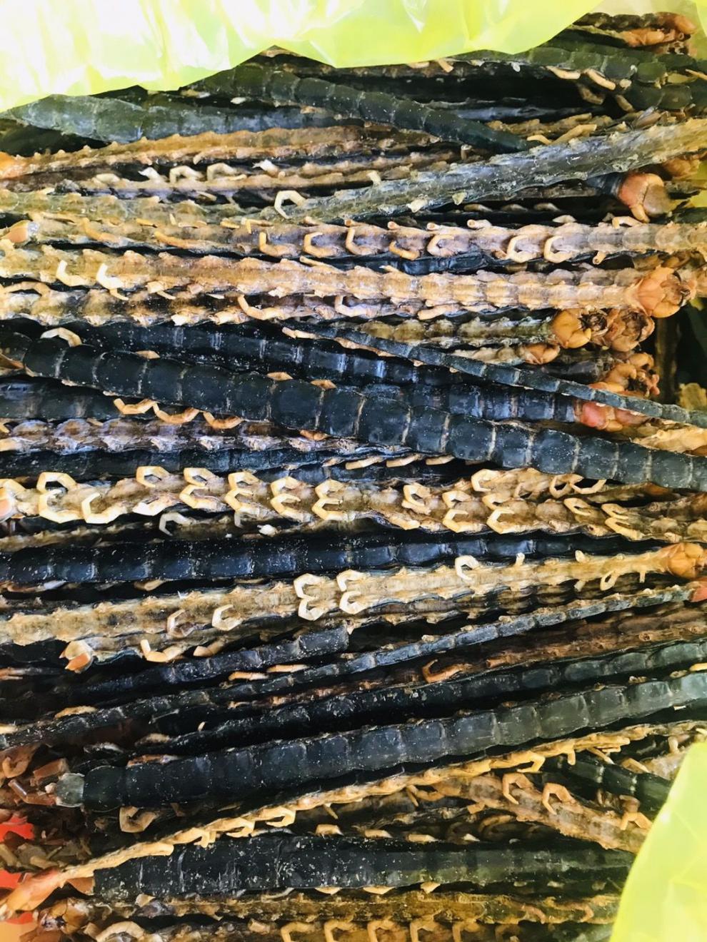 中药材蜈蚣干10克蜈蚣皮整条大蜈蚣肉磨蜈蚣粉不带竹签蜈蚣蜈蚣10克