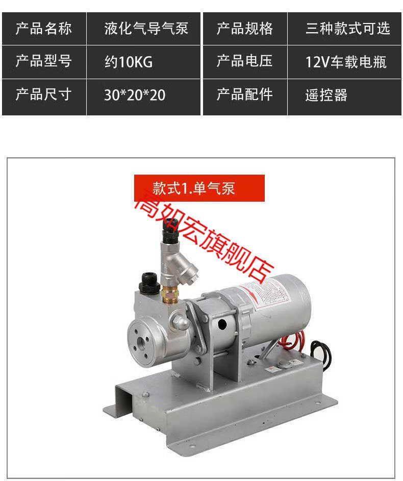12v液化气导气泵12伏充气泵丙烷泵车载倒气泵液化气导气泵加气泵 一进