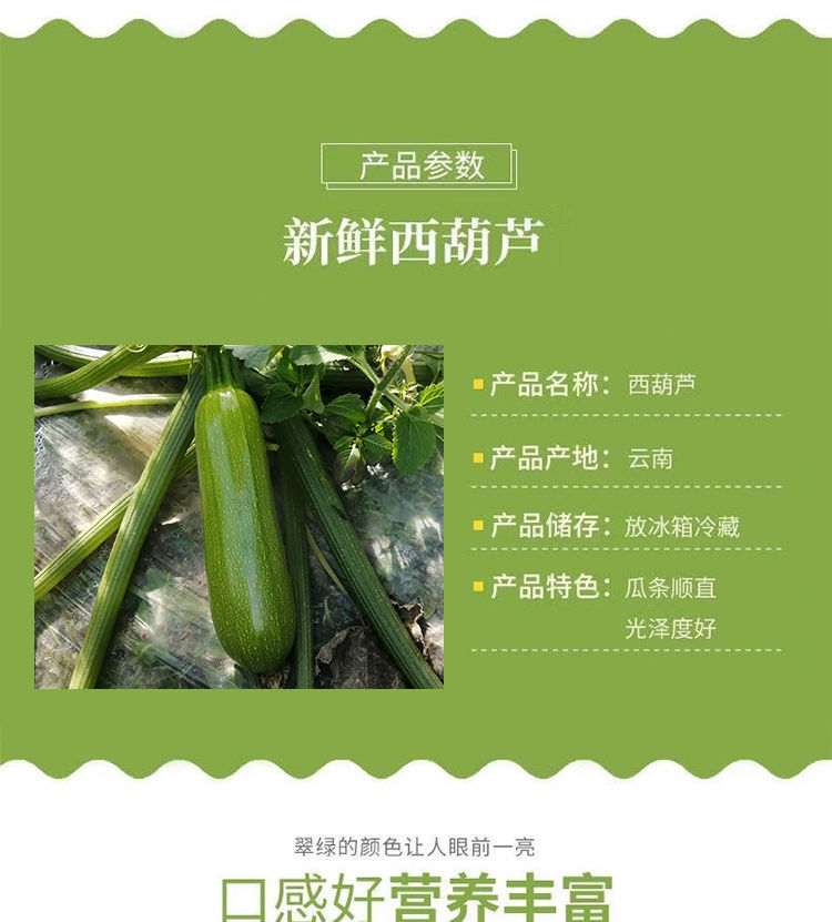 云南西葫芦生瓜三月小瓜番瓜倭135斤当季新鲜蔬菜现