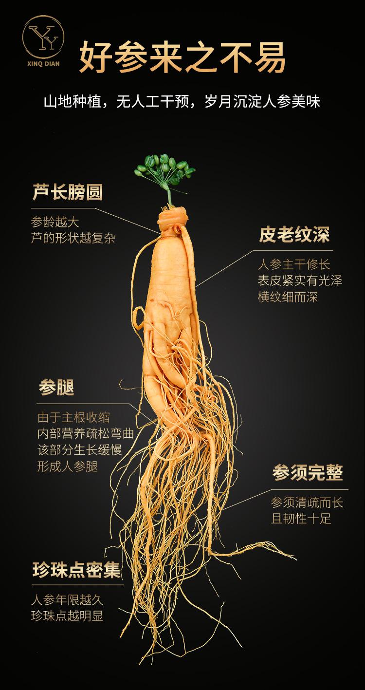 年货送礼长白山人参东北特产新鲜人参泡酒参三年陈酿人参酒5斤桶
