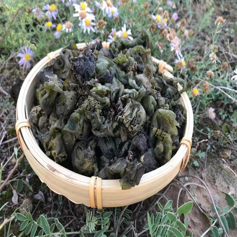 地皮菜地软宁夏土特产非免洗干地衣木耳野菜1袋250g 袋250g【图片