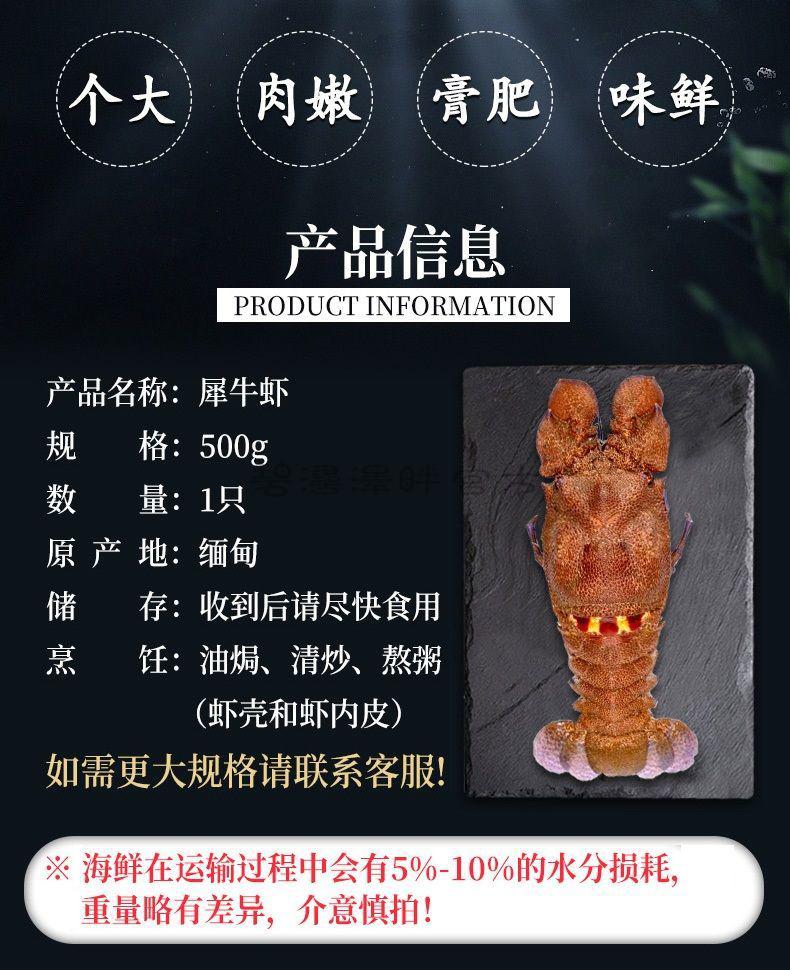 碧浔泽畔旗舰店犀牛虾九齿扇虾新鲜冷冻海捕大虾海鲜水产大龙虾400800