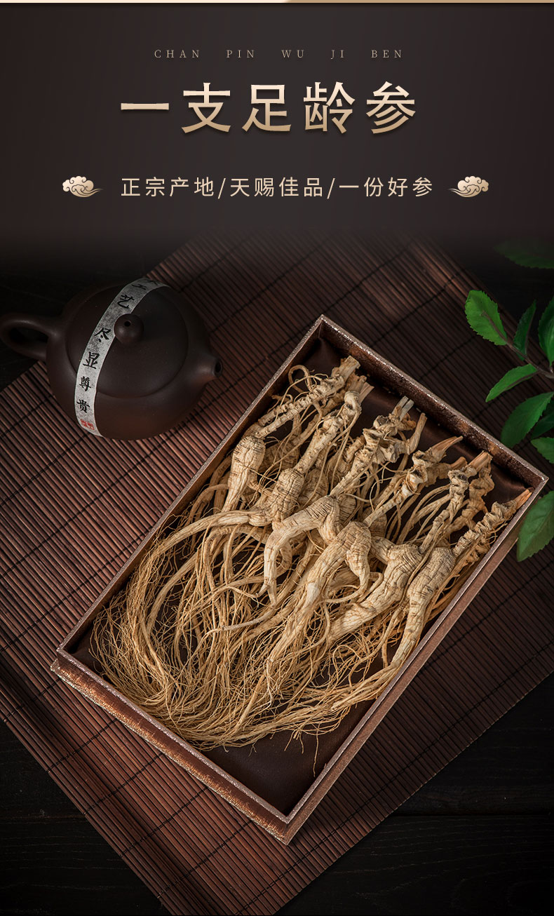 鹿锦煊东北长白山野生参人参林下参高龄参生晒参泡酒煲汤料一支装单支