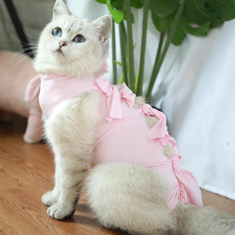 尤克达蒂猫咪绝育服猫咪母猫绝育服手术服断奶衣服棉布透气夏季薄宠物
