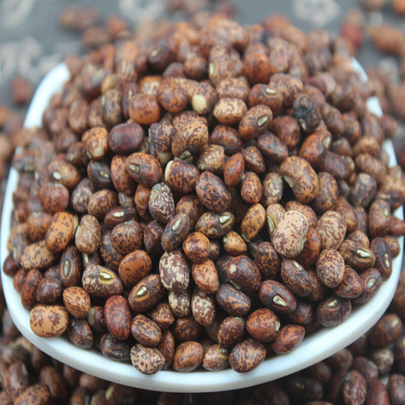 新生麻豇豆花江豆饭豆小麻豇豆农家梨花豇豆五谷杂粮