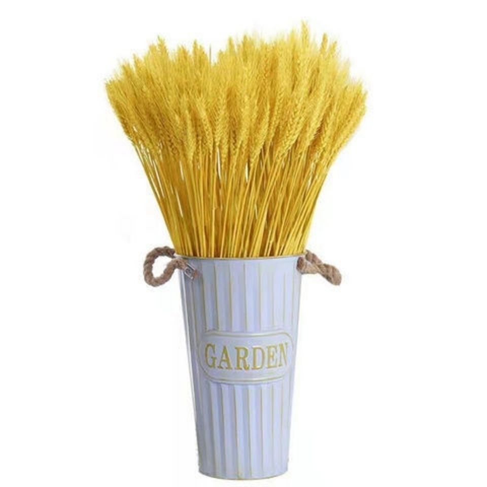 麦穗干花花束开业装饰拍摄道具插花稻穗大麦客厅大麦摆件金黄色麦穗