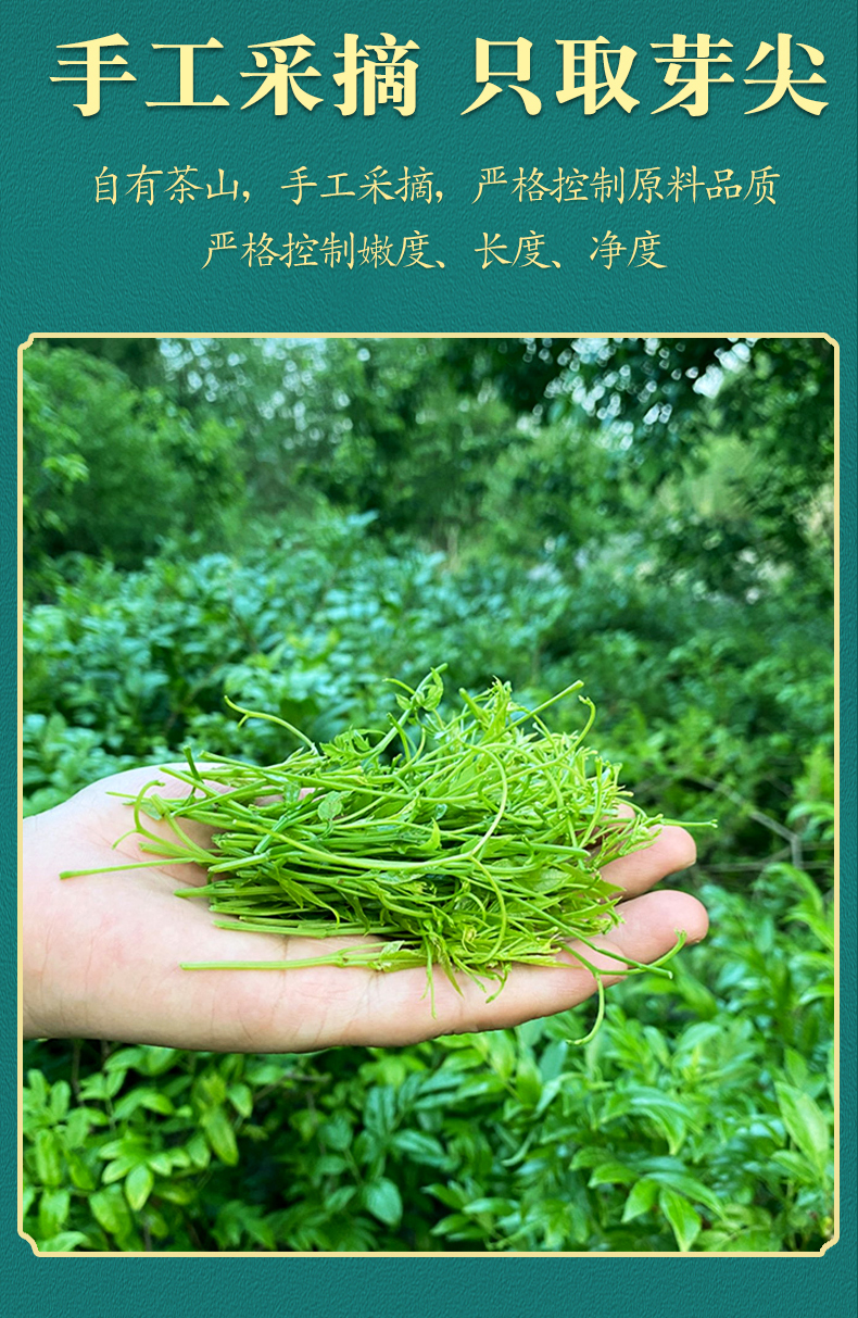 5折莓茶张家界芽尖湘永顺龙须青安霉茶非野生茅岩特产恩施藤茶1发3罐