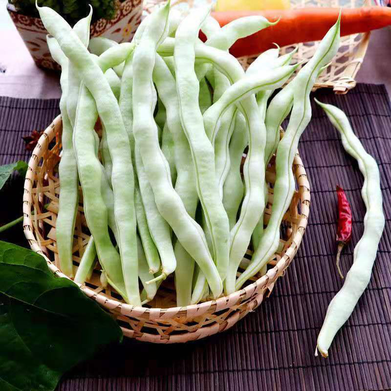 白不老豆角新鲜东北架豆王老来少芸豆四季豆白架豆农家蔬菜3斤