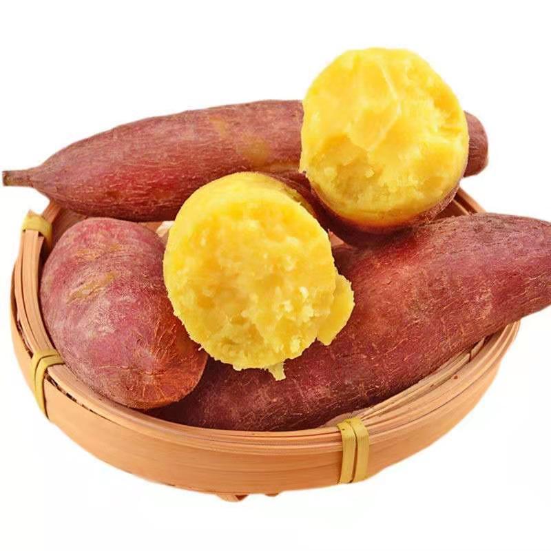 现挖现发农家新鲜红薯沙土地黄心蜜薯小香薯地瓜带箱95斤