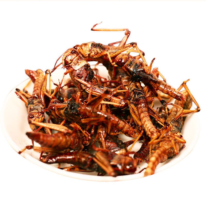 即食去翅膀蝗虫麻辣椒盐零食小吃昆虫美食蚂蚱新鲜山东特产 椒盐鲜虾