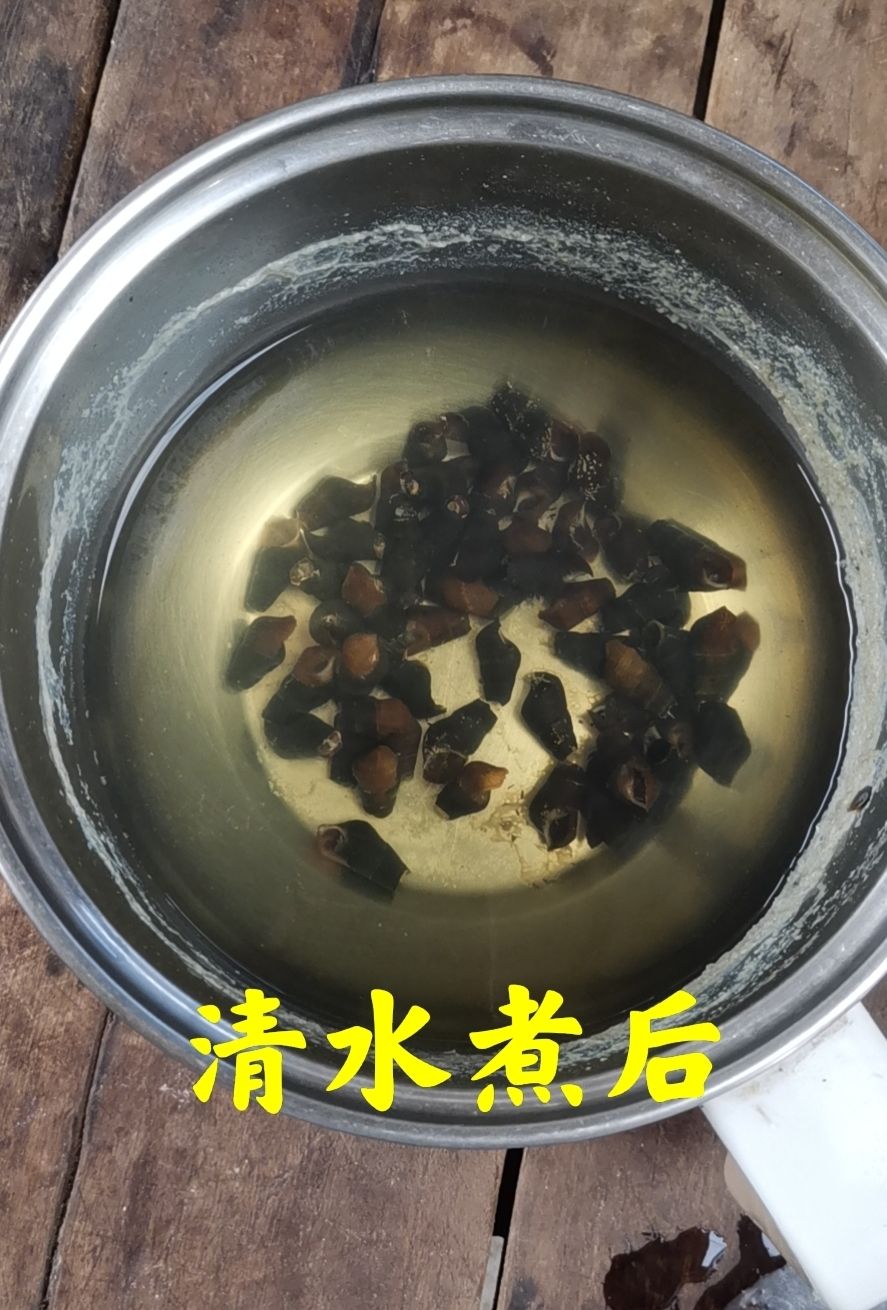 广西新鲜山坑螺 钉螺 长螺 石螺黑螺 坑螺 4斤中小个【图片 价格 品牌