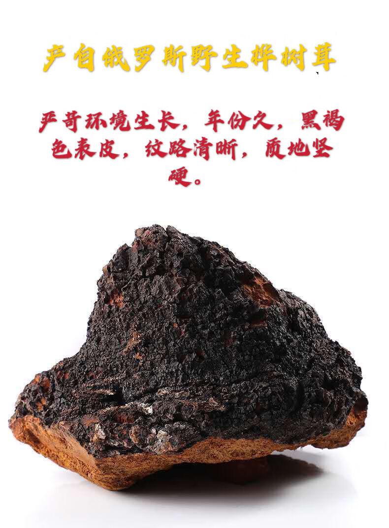 桦树茸俄罗斯野生桦褐孔菌桦树泪西伯利亚白桦茸桦树茸500克切块