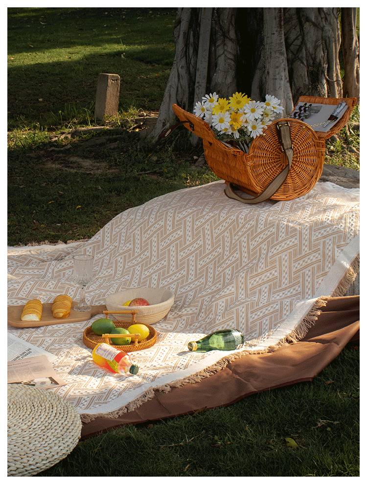 野餐垫网红复古户外垫加厚布ins风便携郊游露营毯子野外地毯唯美白
