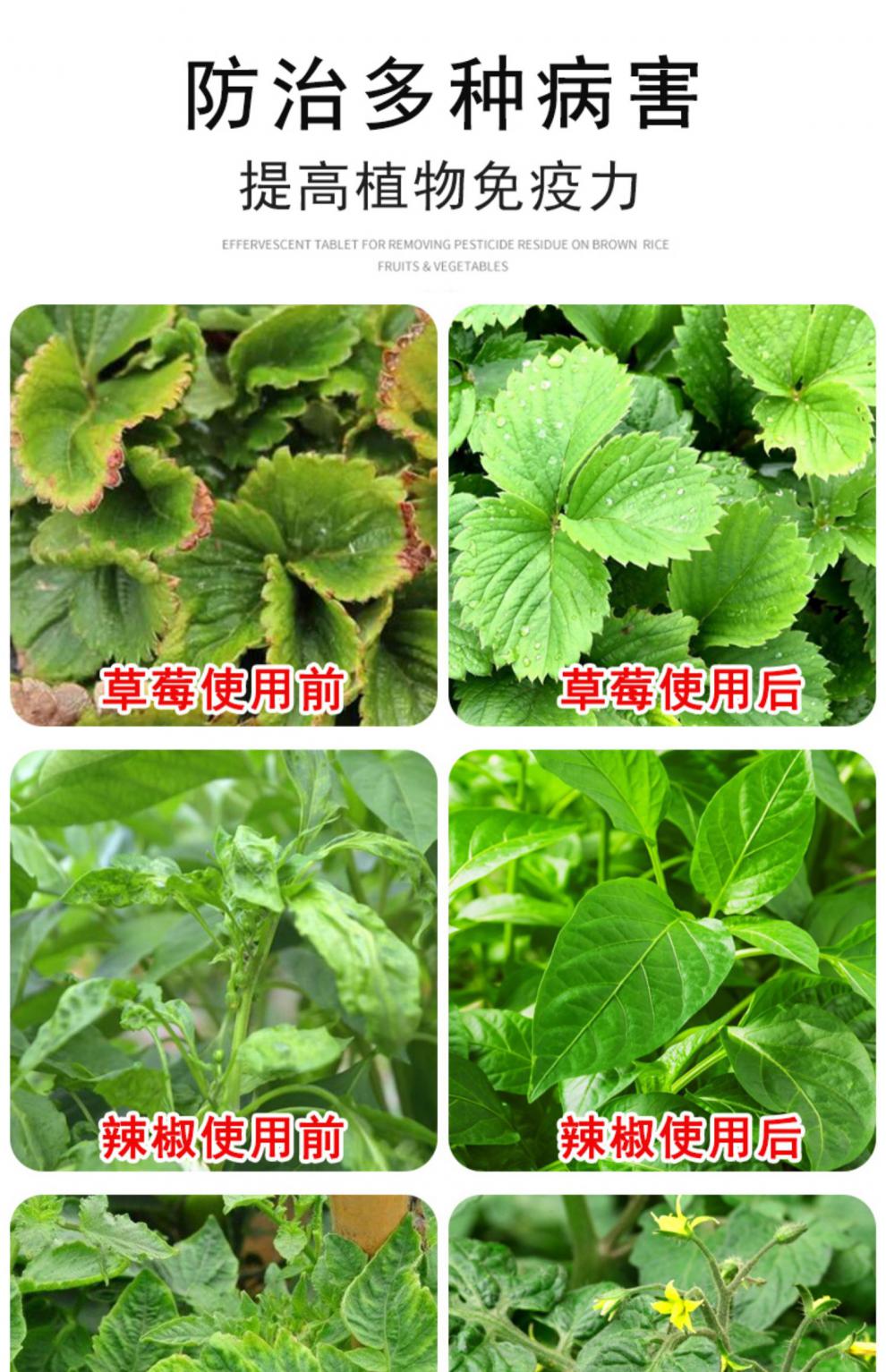 柯必达 宁南霉素病毒病剂植物番茄草莓百香果辣椒毒病卷叶根腐专用药