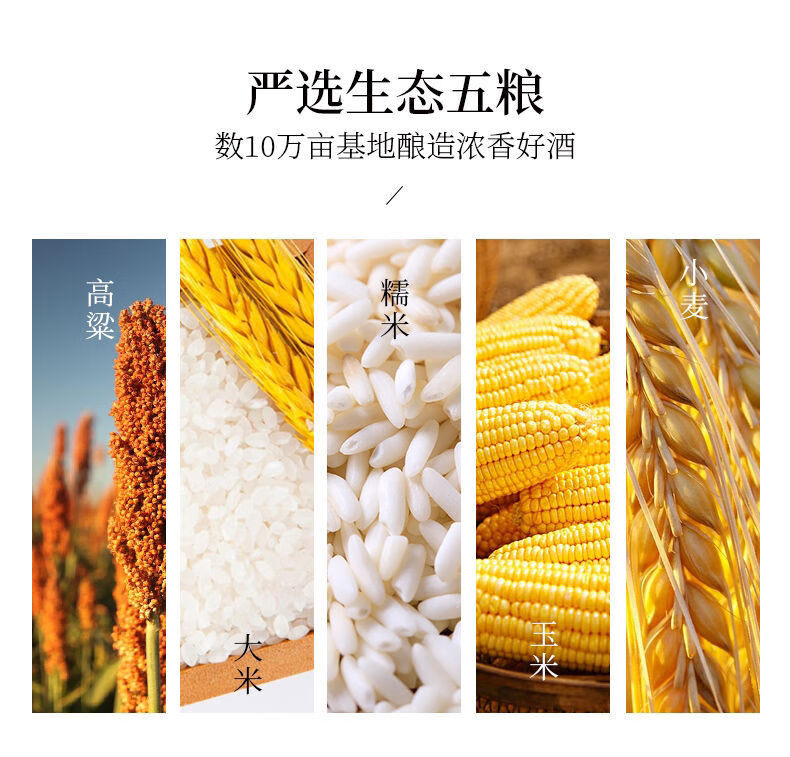 百年迎驾铁盒百年迎驾迎驾贡酒42度三星级迎驾口粮白酒450ml62020年