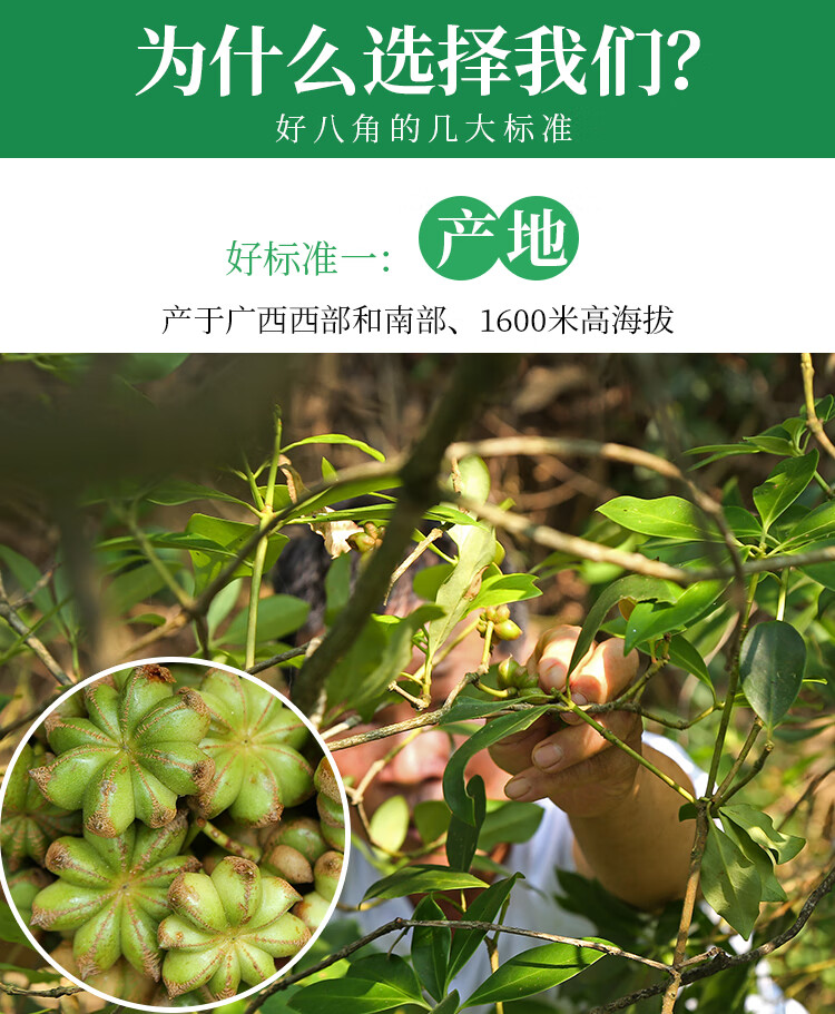 广西大红八角大料干货无硫大茴香散装香辛料调料大全500g